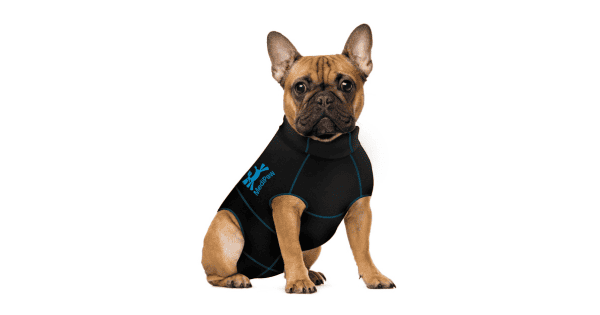 The Best Recovery Suits for Dogs in 2024