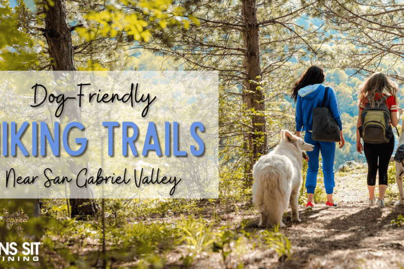 Dog-Friendly Hiking Trails Near San Gabriel Valley