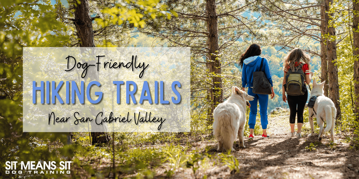 Dog-Friendly Hiking Trails Near San Gabriel Valley