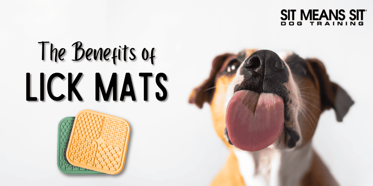 Top Reasons to Add Lick Mats to Your Dog's Routine